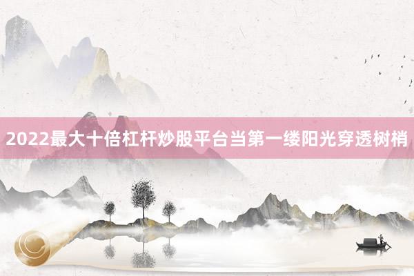 2022最大十倍杠杆炒股平台当第一缕阳光穿透树梢