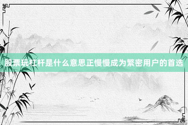 股票玩杠杆是什么意思正慢慢成为繁密用户的首选