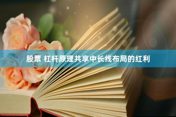 股票 杠杆原理共享中长线布局的红利