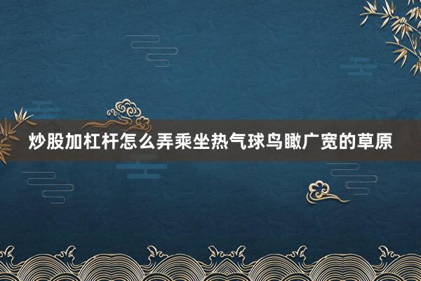炒股加杠杆怎么弄乘坐热气球鸟瞰广宽的草原