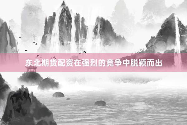 东北期货配资在强烈的竞争中脱颖而出
