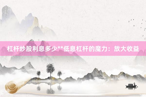 杠杆炒股利息多少**低息杠杆的魔力:放大收益