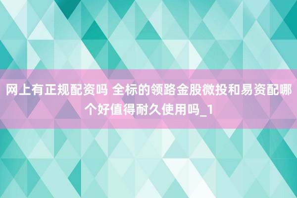 网上有正规配资吗 全标的领路金股微投和易资配哪个好值得耐久使用吗_1
