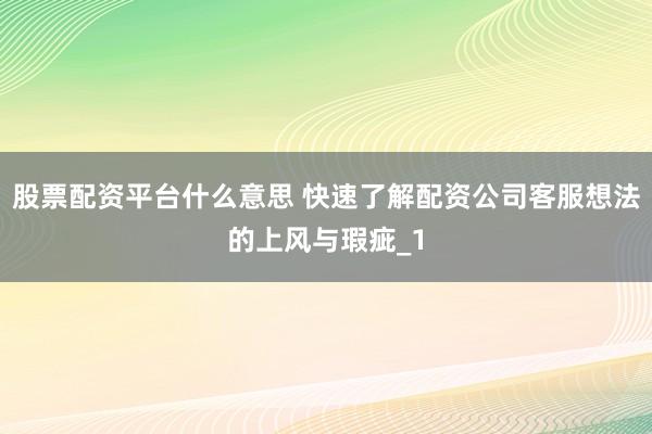 股票配资平台什么意思 快速了解配资公司客服想法的上风与瑕疵_1